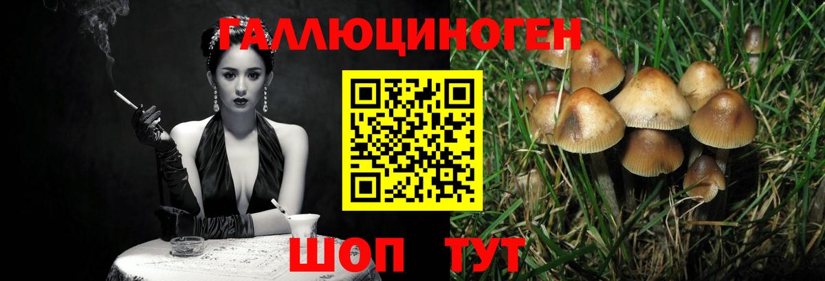 Псилоцибиновые грибы прущие грибы Сальск