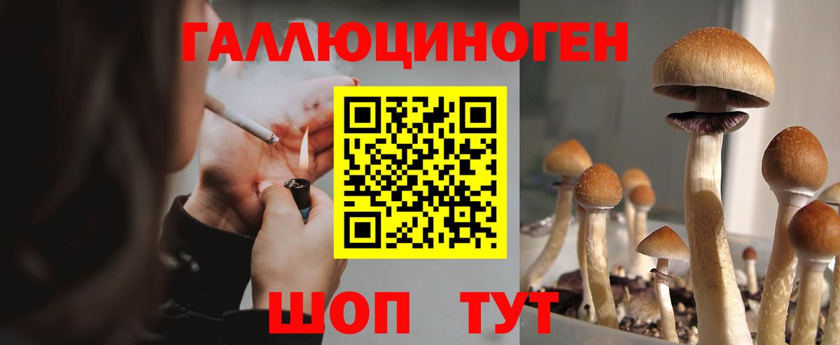 Галлюциногенные грибы Magic Shrooms  Вход с VPN  Сальск  Галлюциногенные грибы GOLDEN TEACHER 